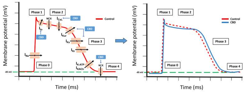 PMC10458707 – molecules-28-05980-f005