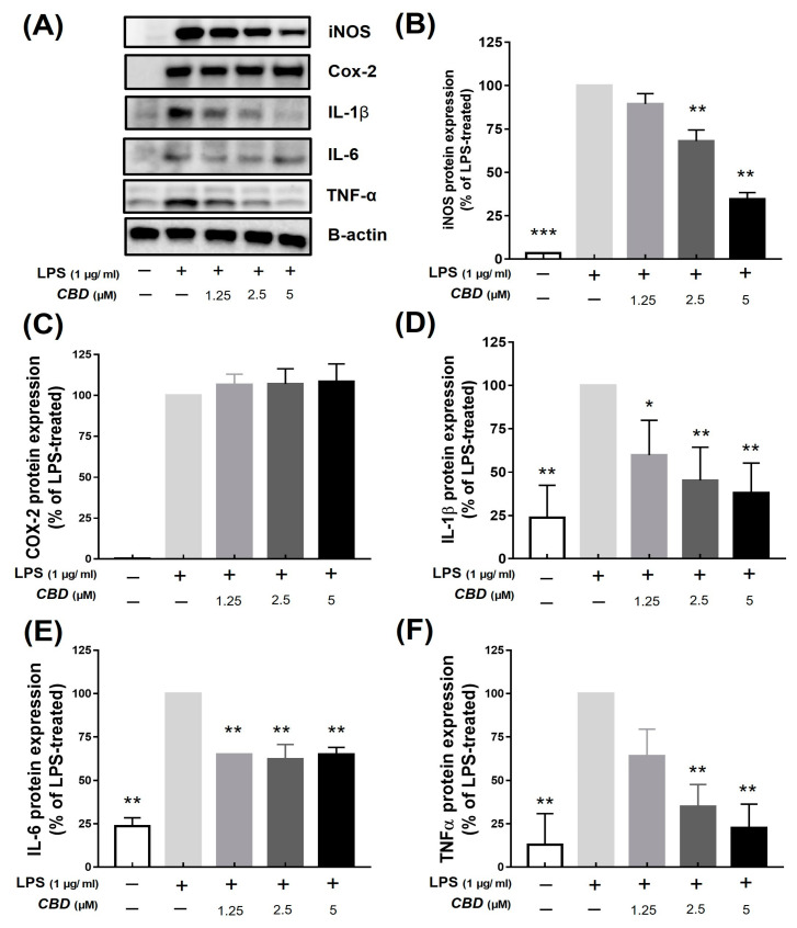 PMC10535604 – molecules-28-06439-f003