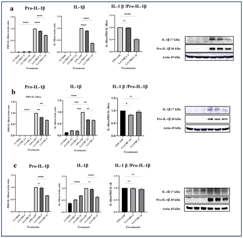 PMC10534668 – molecules-28-06487-f001