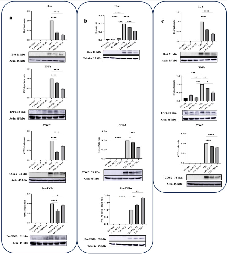 PMC10534668 – molecules-28-06487-f002