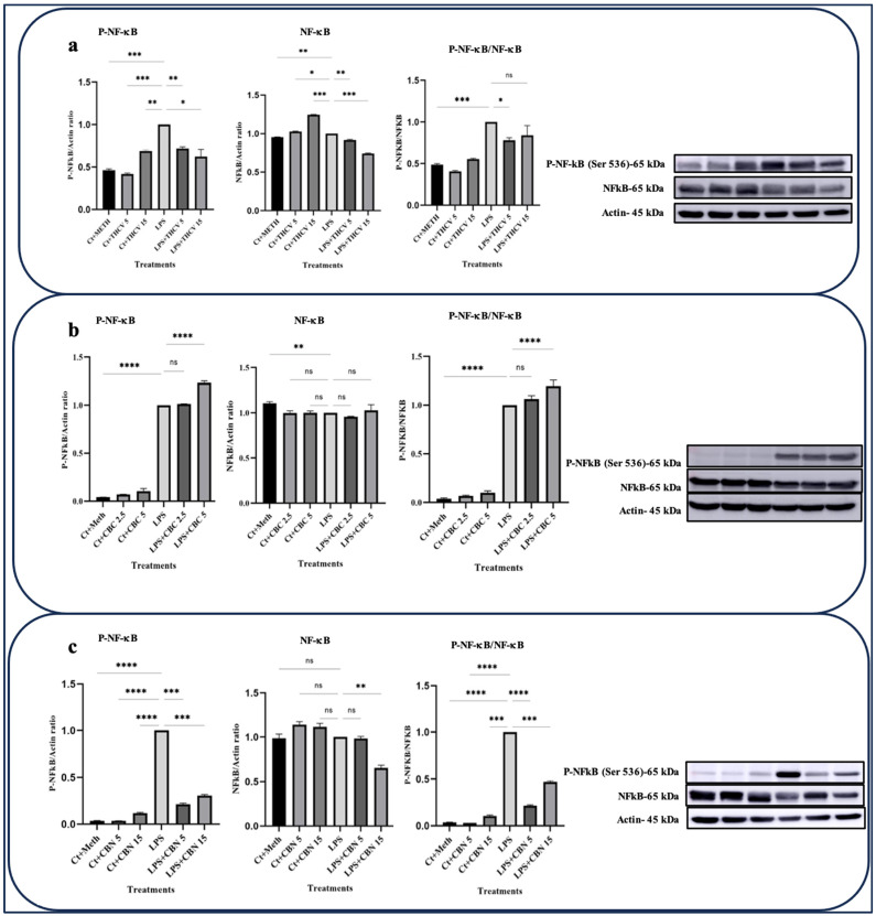 PMC10534668 – molecules-28-06487-f003