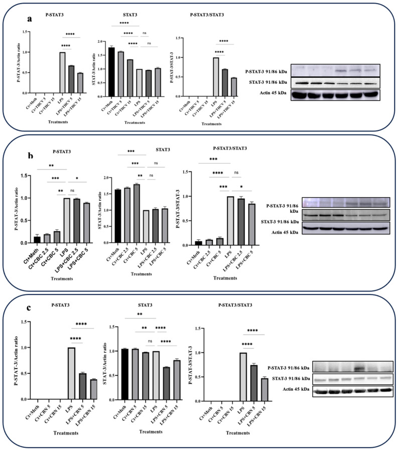 PMC10534668 – molecules-28-06487-f004
