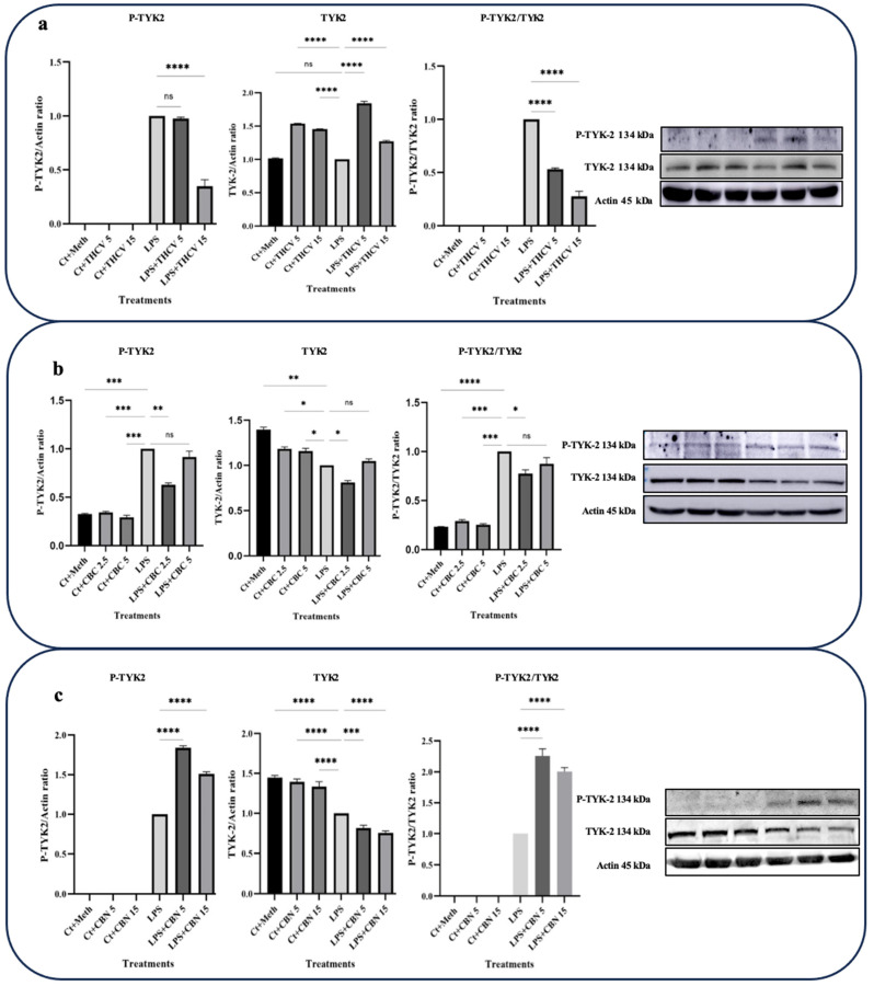 PMC10534668 – molecules-28-06487-f005