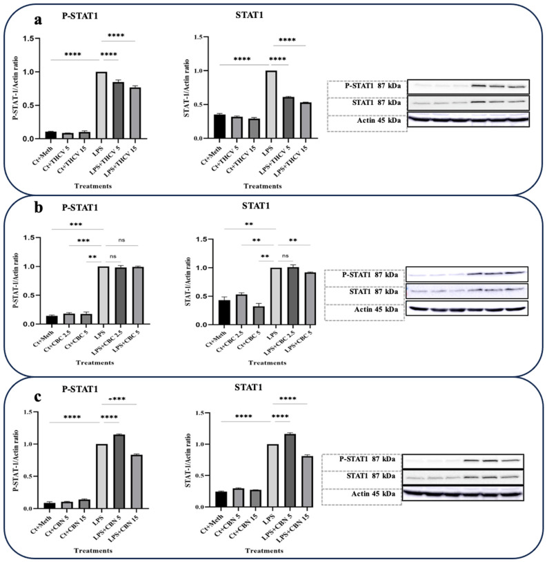PMC10534668 – molecules-28-06487-f006