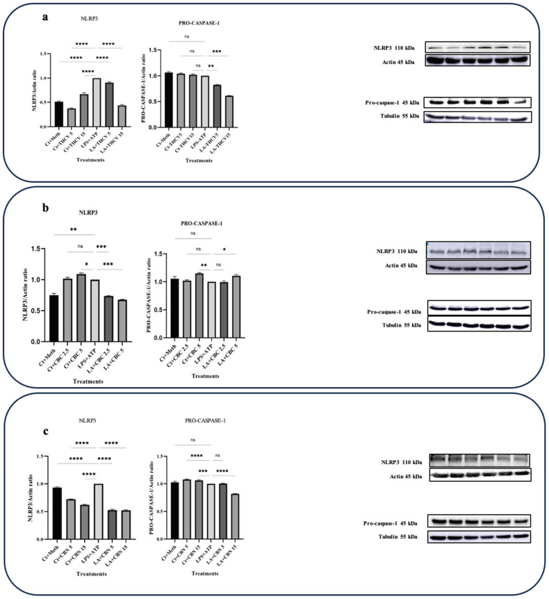 PMC10534668 – molecules-28-06487-f007