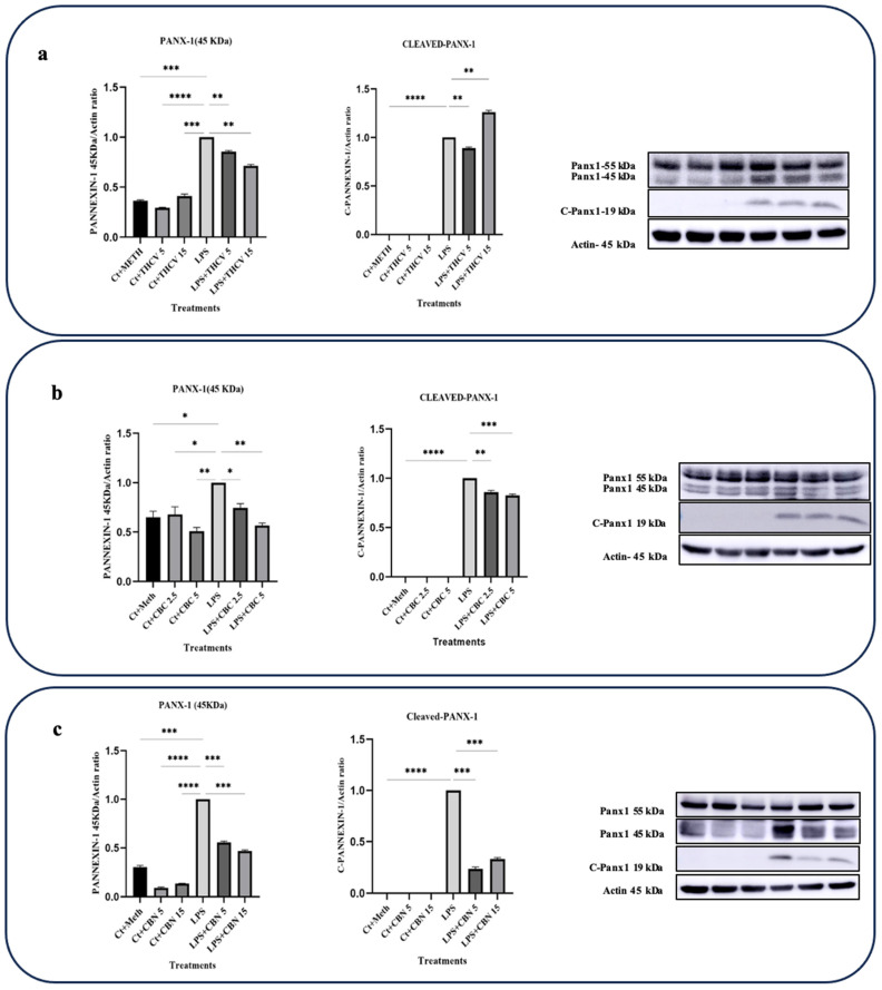 PMC10534668 – molecules-28-06487-f008