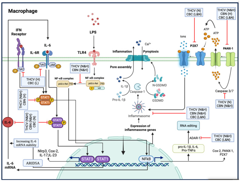 PMC10534668 – molecules-28-06487-f012