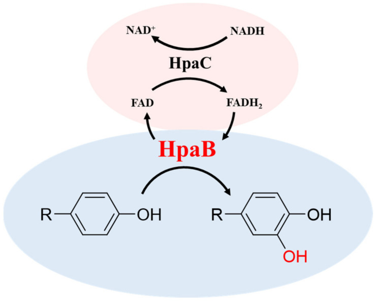 PMC10537072 – molecules-28-06699-f002