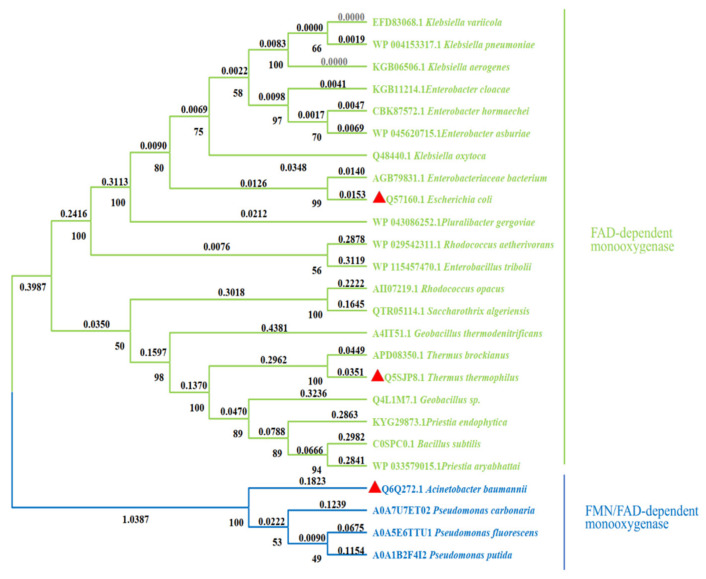 PMC10537072 – molecules-28-06699-f003