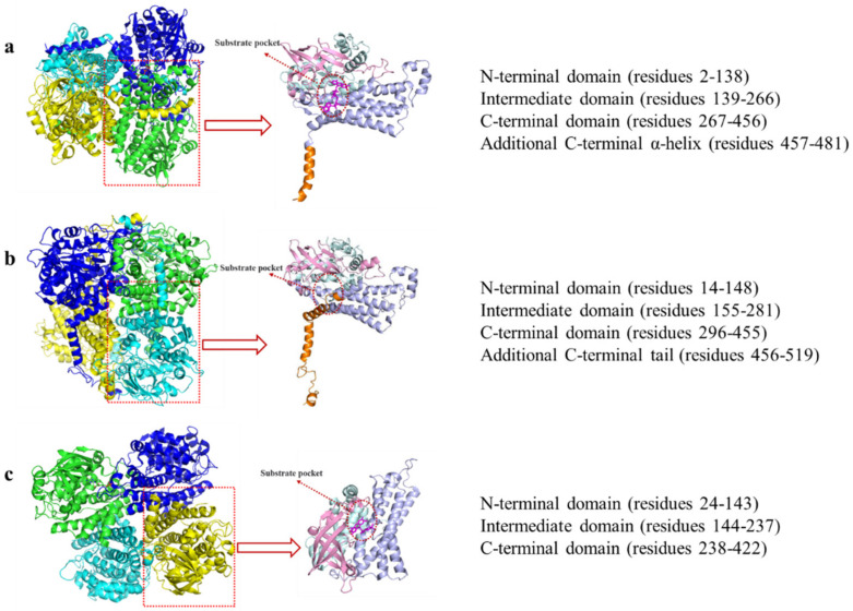 PMC10537072 – molecules-28-06699-f004