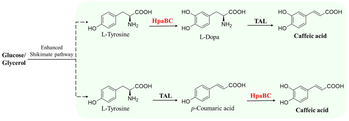 PMC10537072 – molecules-28-06699-f007