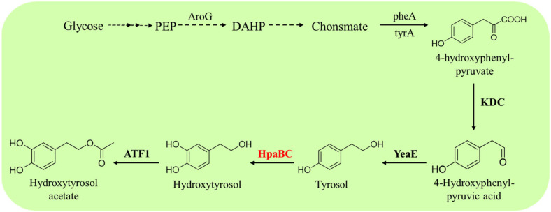 PMC10537072 – molecules-28-06699-f010