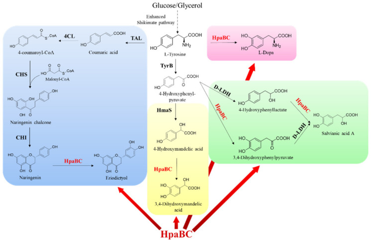 PMC10537072 – molecules-28-06699-f011