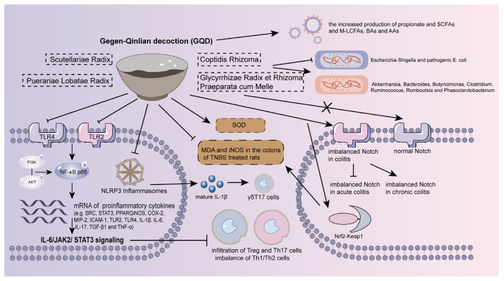 PMC10574200 – molecules-28-06811-f003