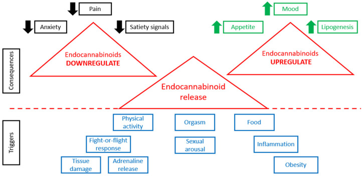 PMC10707504 – molecules-28-07686-f001