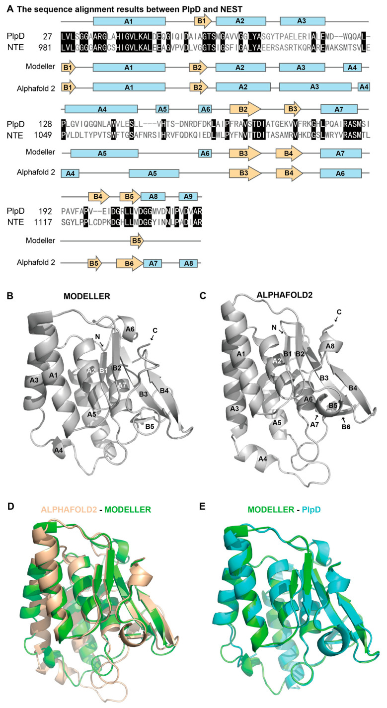 PMC10708158 – molecules-28-07747-f001