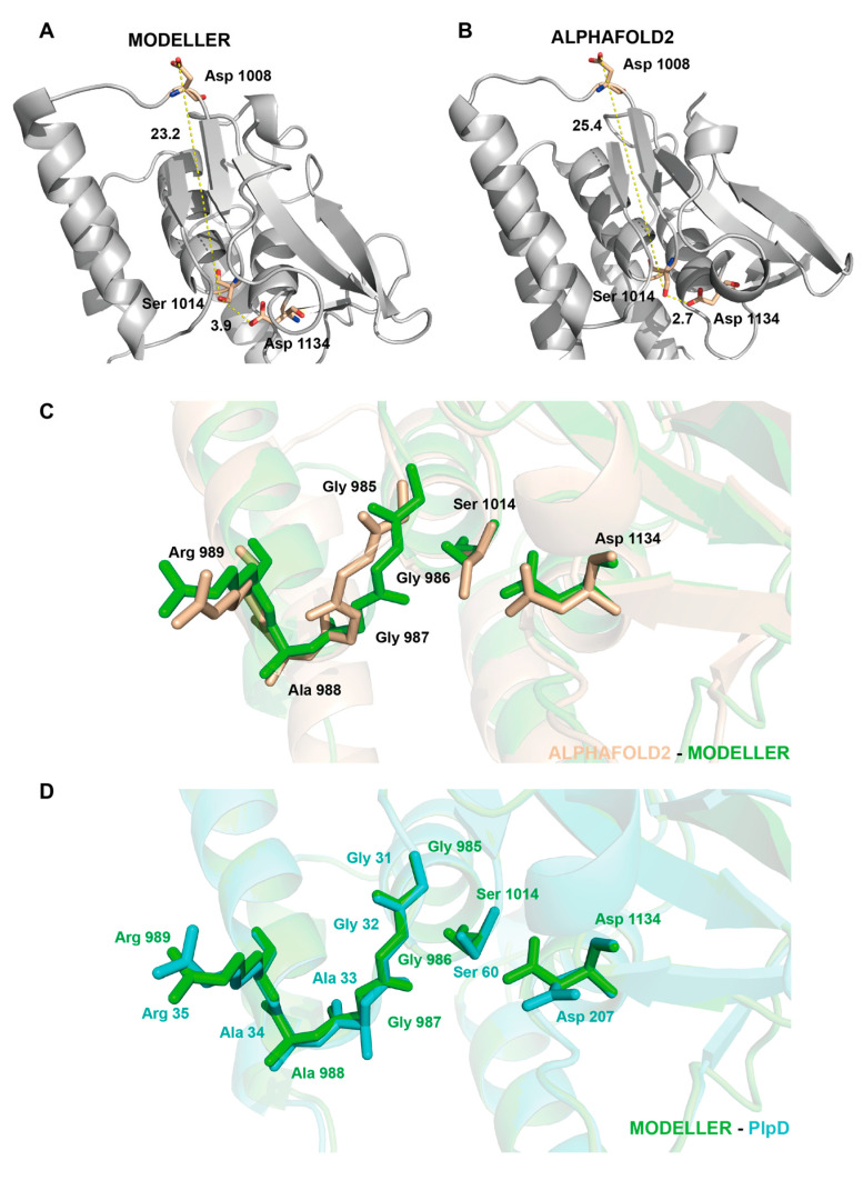 PMC10708158 – molecules-28-07747-f003