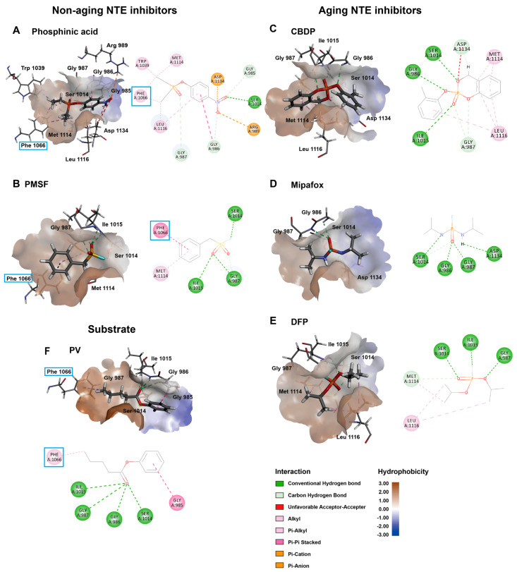 PMC10708158 – molecules-28-07747-f006