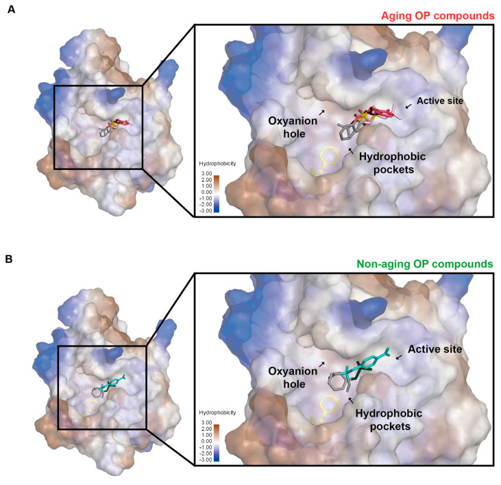 PMC10708158 – molecules-28-07747-f007