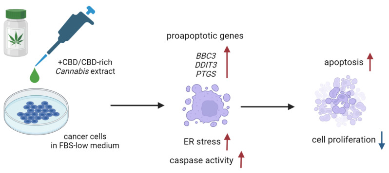 PMC10708261 – molecules-28-07887-f009