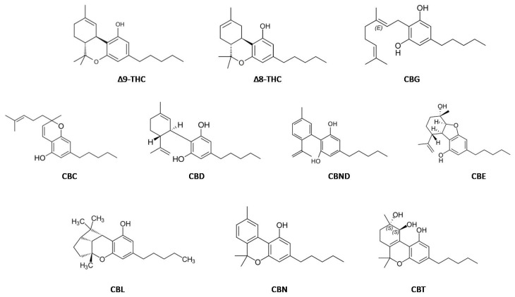 PMC10745805 – molecules-28-08047-f001