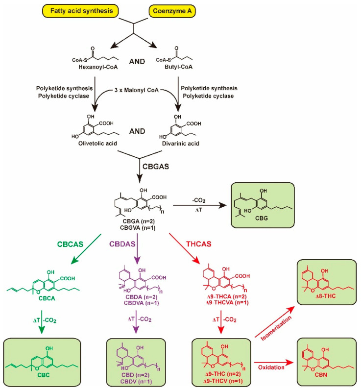 PMC10745805 – molecules-28-08047-f002
