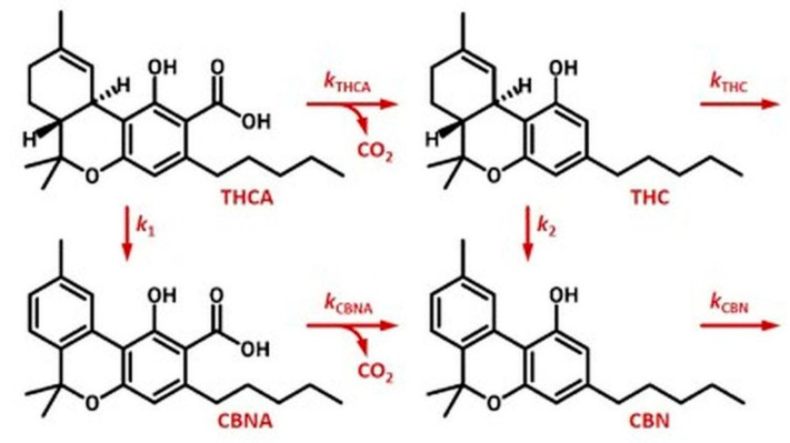 PMC10745805 – molecules-28-08047-f003