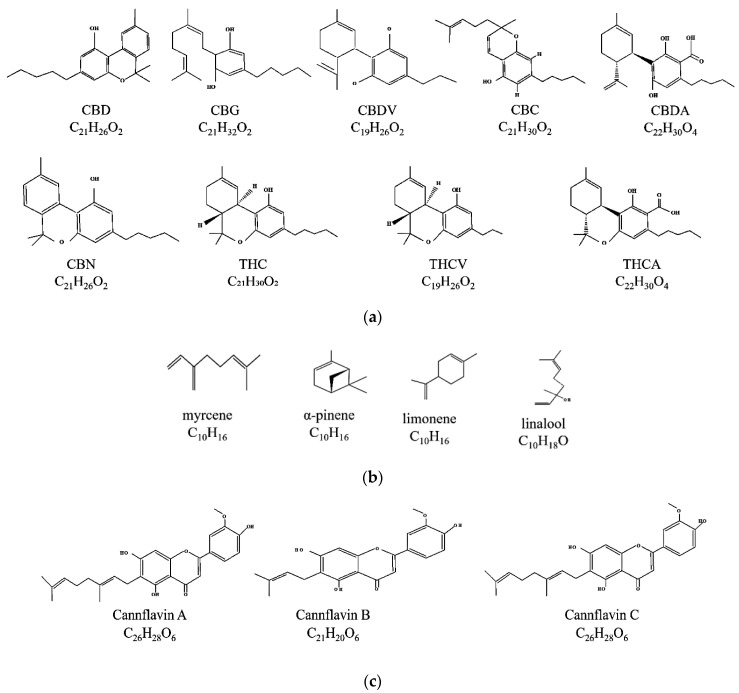 PMC10821245 – molecules-29-00410-f001