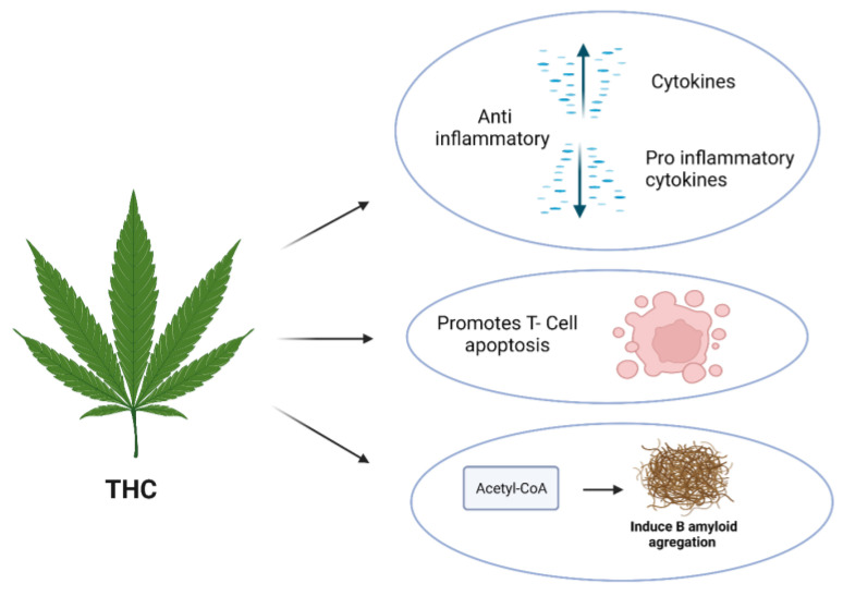 PMC10821245 – molecules-29-00410-f004