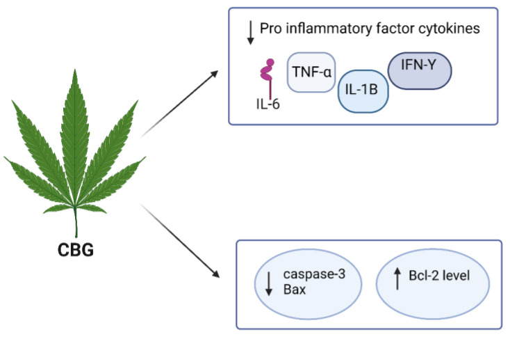 PMC10821245 – molecules-29-00410-f005