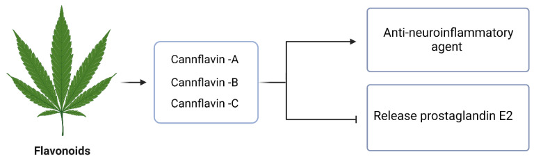 PMC10821245 – molecules-29-00410-f006