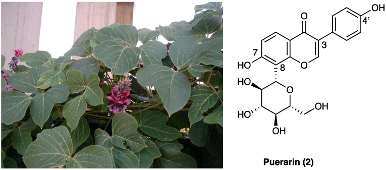 PMC10892999 – molecules-29-00815-f002
