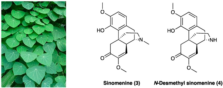 PMC10892999 – molecules-29-00815-f003