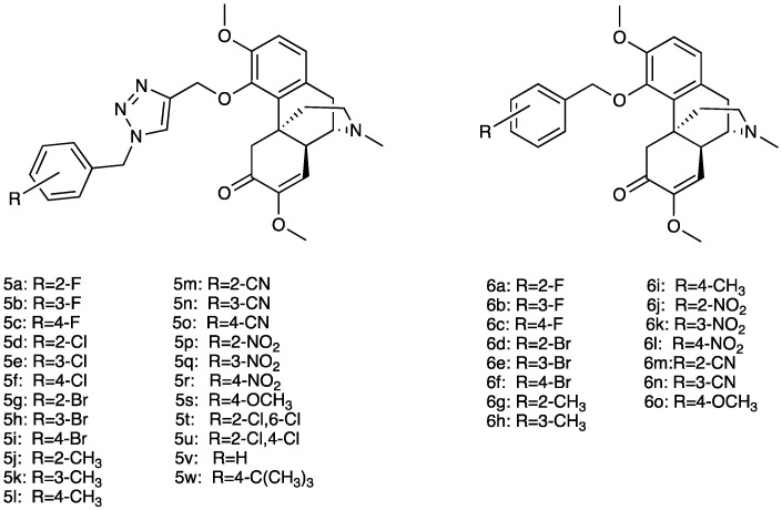 PMC10892999 – molecules-29-00815-f004