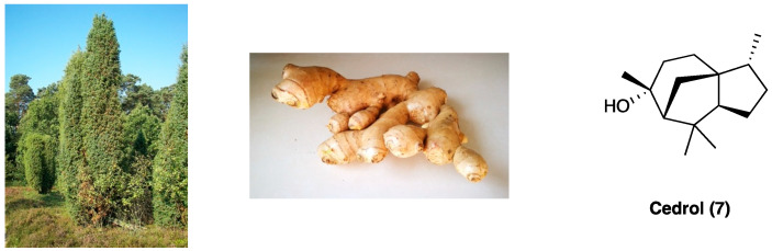 PMC10892999 – molecules-29-00815-f005