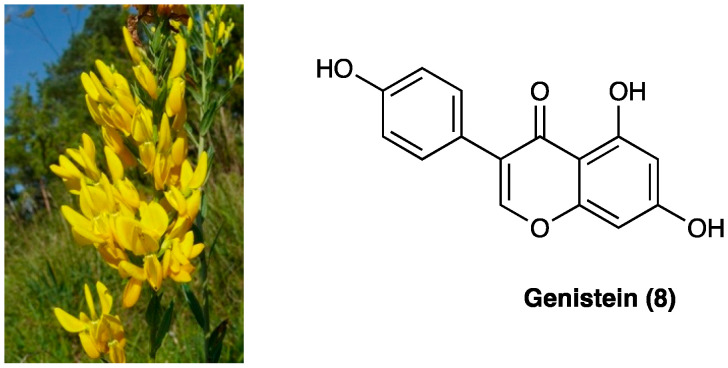 PMC10892999 – molecules-29-00815-f006