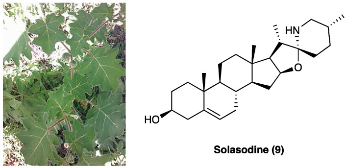 PMC10892999 – molecules-29-00815-f007