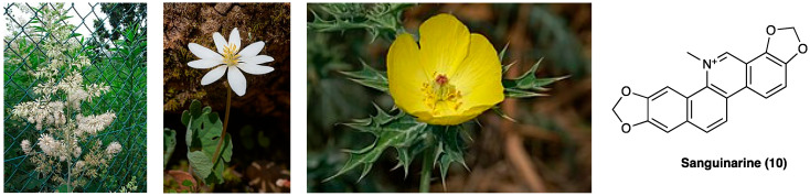 PMC10892999 – molecules-29-00815-f008