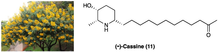 PMC10892999 – molecules-29-00815-f009