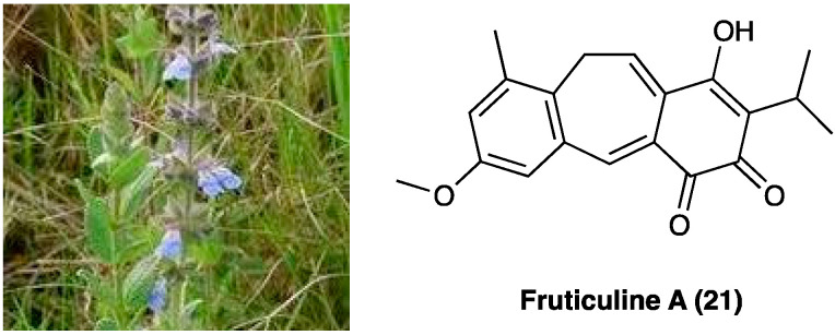 PMC10892999 – molecules-29-00815-f015