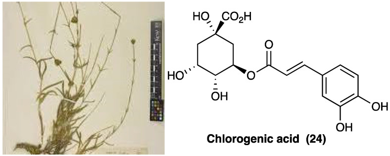 PMC10892999 – molecules-29-00815-f018