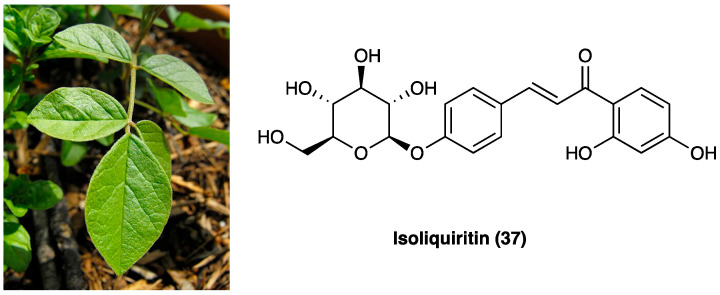 PMC10892999 – molecules-29-00815-f024