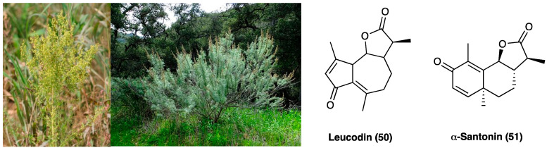 PMC10892999 – molecules-29-00815-f026