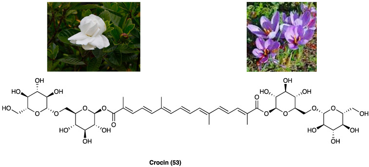 PMC10892999 – molecules-29-00815-f028