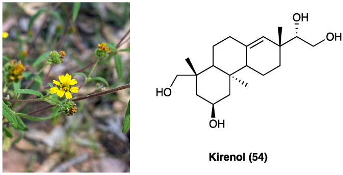PMC10892999 – molecules-29-00815-f029