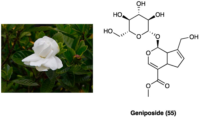 PMC10892999 – molecules-29-00815-f030