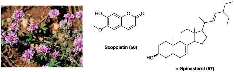 PMC10892999 – molecules-29-00815-f031