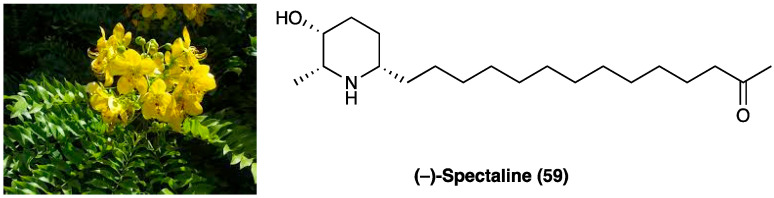 PMC10892999 – molecules-29-00815-f033