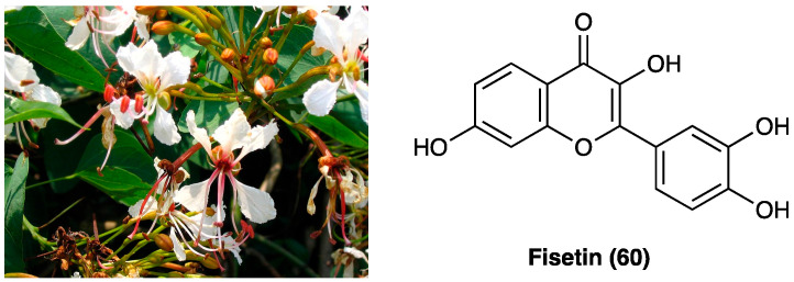 PMC10892999 – molecules-29-00815-f034