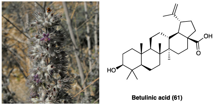 PMC10892999 – molecules-29-00815-f035